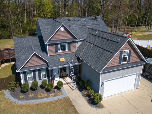 Best Roof Maintenance and Cleaning  in La Vista, NE